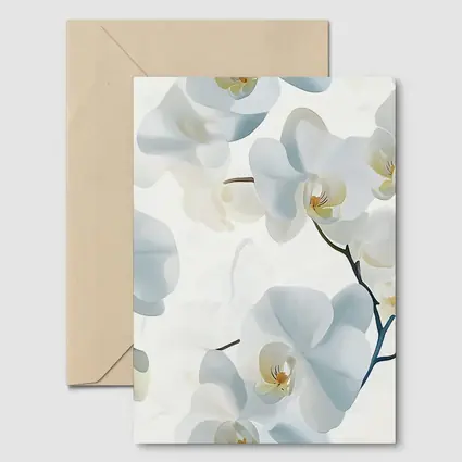 White Orchid Flowers Soft Blue Background