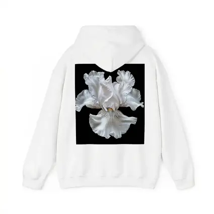 White Iris Flower Black Background Art