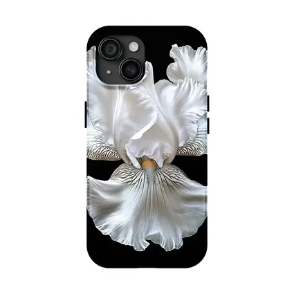 White Iris Flower Black Background Art