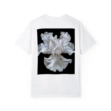 White Iris Flower Black Background Art