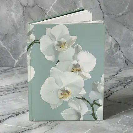 White Orchid Flowers Soft Blue Background