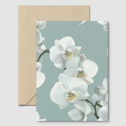 White Orchid Flowers Soft Blue Background