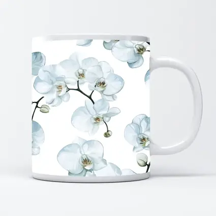 White Orchid Flowers On White Background