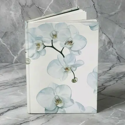 White Orchid Flowers On White Background