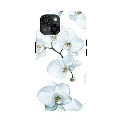 White Orchid Flowers On White Background
