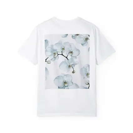White Orchid Flowers On White Background