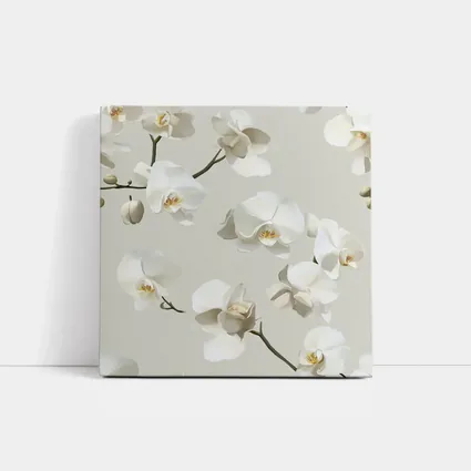 White Orchid Flowers On Beige Background