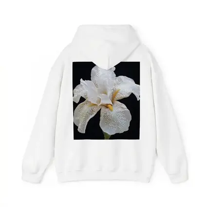 White Iris Flower Black Background Art