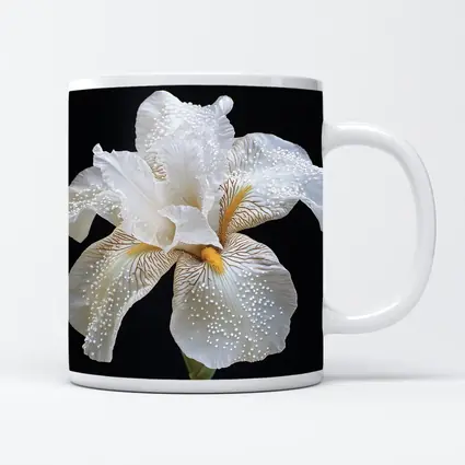 White Iris Flower Black Background Art