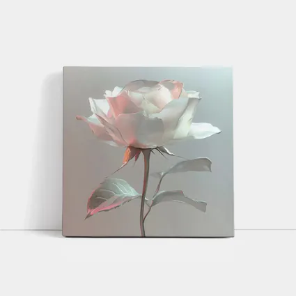 White Rose Soft Pastel Gray Background