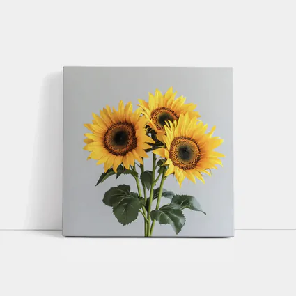 Three Sunflowers Bouquet On Gray Background