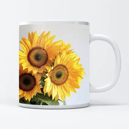 Three Sunflowers Against White Background