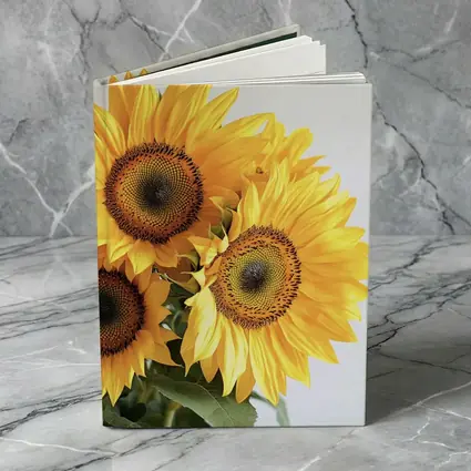 Three Sunflowers Against White Background