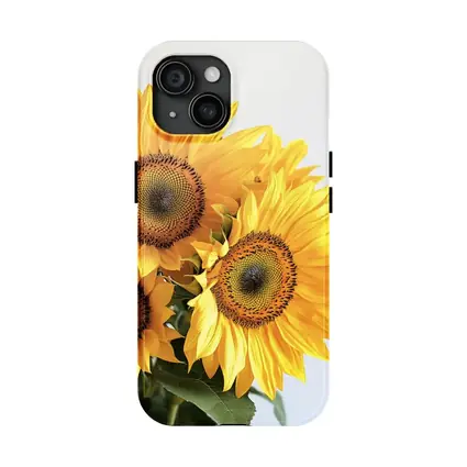 Three Sunflowers Against White Background