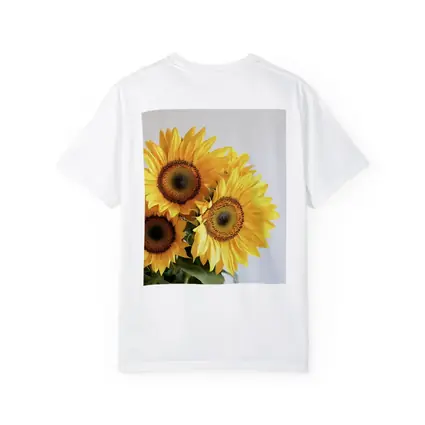 Three Sunflowers Against White Background