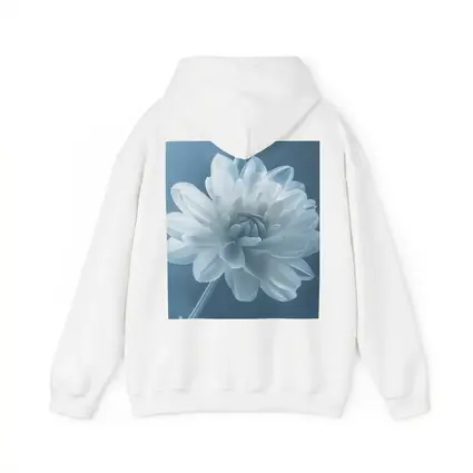 White Dahlia Flower Soft Blue Background