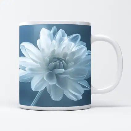 White Dahlia Flower Soft Blue Background