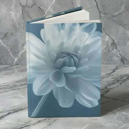 White Dahlia Flower Soft Blue Background