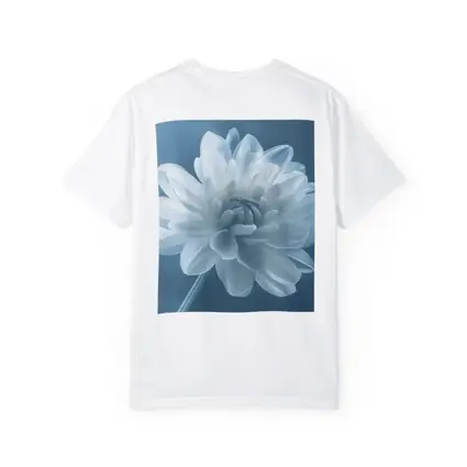 White Dahlia Flower Soft Blue Background
