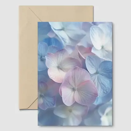 Soft Pastel Hydrangea Flowers Close Up