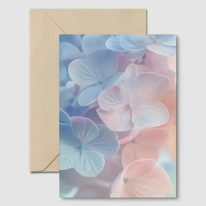 Soft Pastel Hydrangea Flowers Close Up