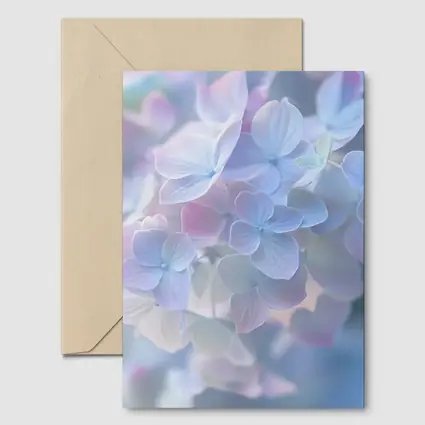 Soft Pastel Hydrangea Flowers Blue Background