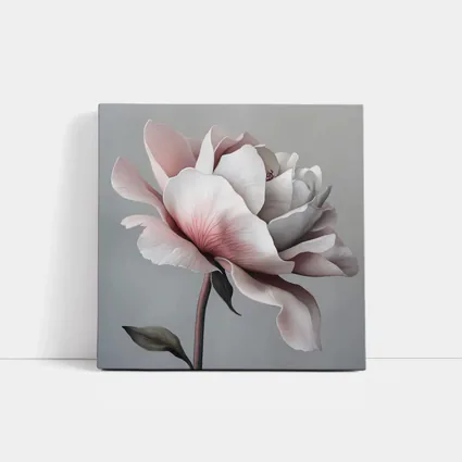 Pink White Rose Flower Gray Background Art