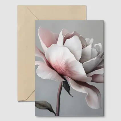 Pink White Rose Flower Gray Background Art