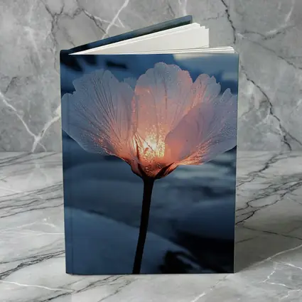 Glowing Ice Flower Arctic Glacier Winter Scene