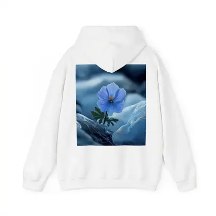 Blue Himalayan Poppy Growing Between Icy Rocks