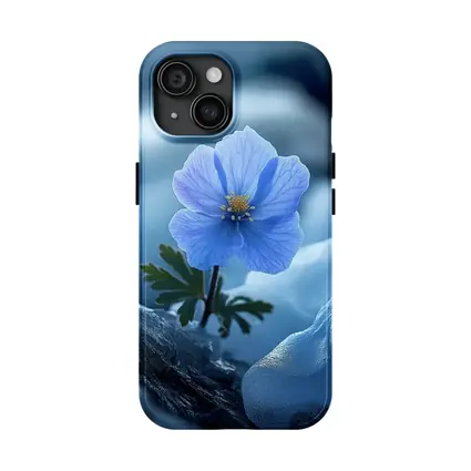 Blue Himalayan Poppy Growing Between Icy Rocks