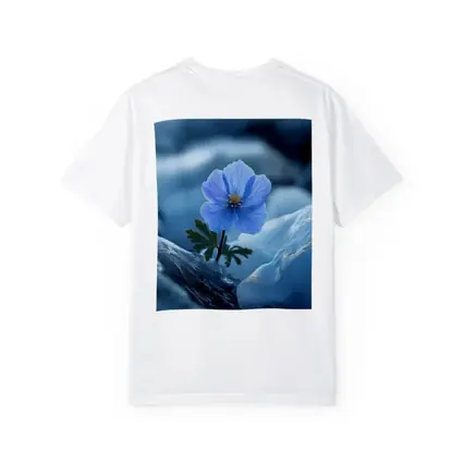 Blue Himalayan Poppy Growing Between Icy Rocks