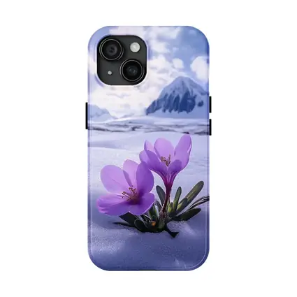 Purple Crocus Flowers Blooming In Snow