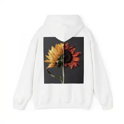 Split Sunflower Fresh And Dried Gray Background