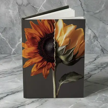 Split Sunflower Bloom Gray Background Art