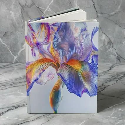Colorful Iris Flower Blue White Background