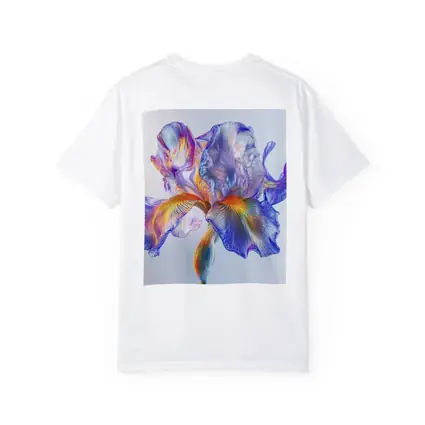 Colorful Iris Flower Blue White Background