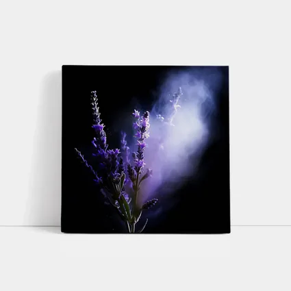 Lavender Flowers Dark Smoke Black Background