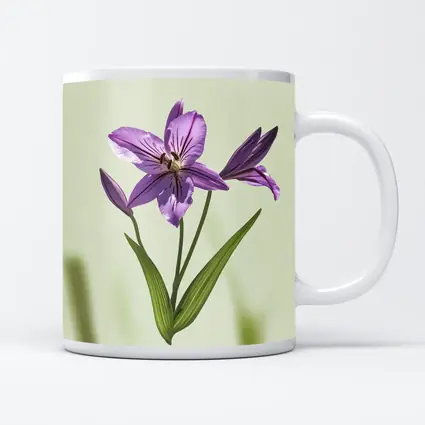 Purple Lily Flower Green Soft Background