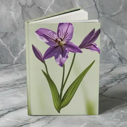 Purple Lily Flower Green Soft Background
