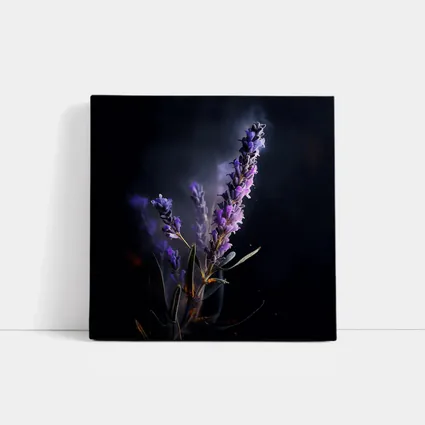 Lavender Sprig Against Dark Black Background