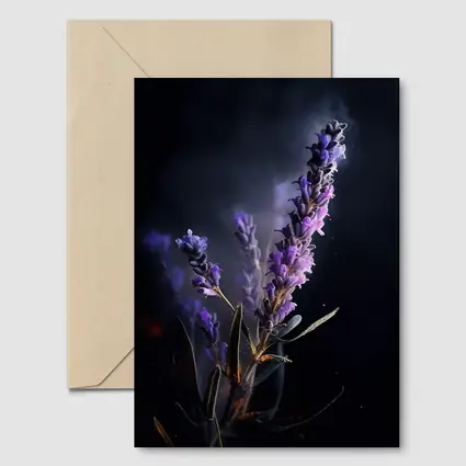 Lavender Sprig Against Dark Black Background