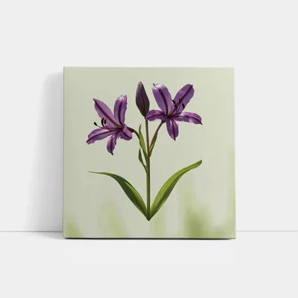 Purple Lily Flowers Green Soft Background