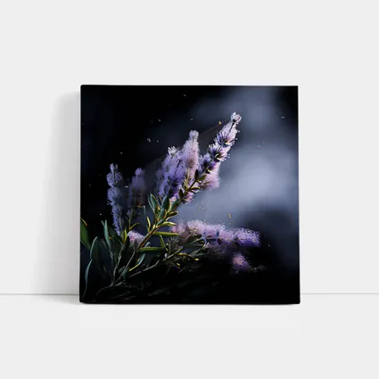 Lavender Blooms Floating Dust Dark Background