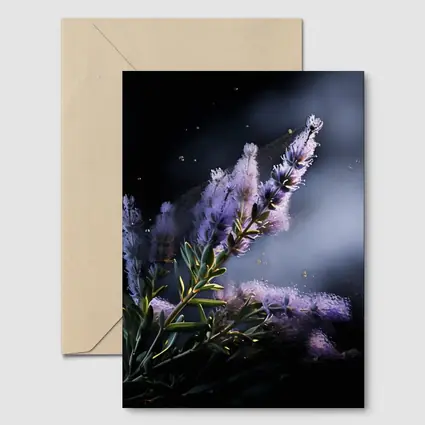 Lavender Blooms Floating Dust Dark Background