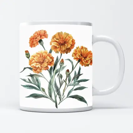 Marigold Flowers Watercolor Botanical Art