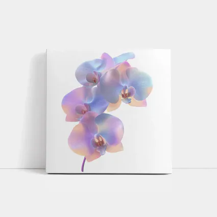Pastel Iridescent Orchid Branch White Background