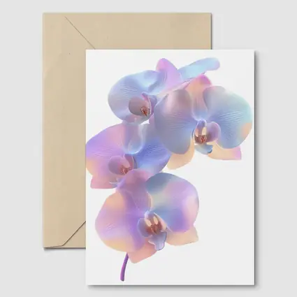 Pastel Iridescent Orchid Branch White Background