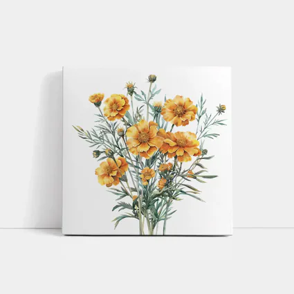Watercolor Marigold Bouquet On White Background