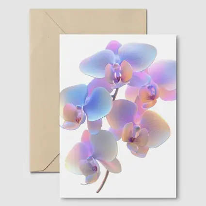 Iridescent Orchid Branch On White Background
